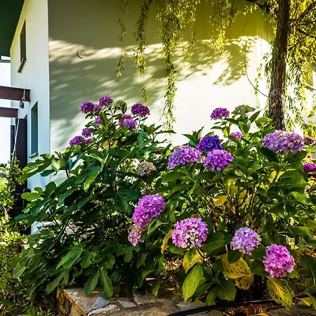 Apartmán Nymfes Tsagarada