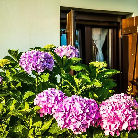 Nymfes Apartmán Tsagarada