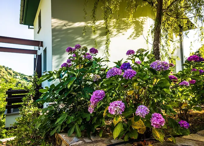 Lejlighed Nymfes Tsagkarada