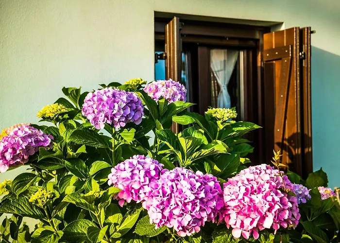 Nymfes Lejlighed Tsagkarada